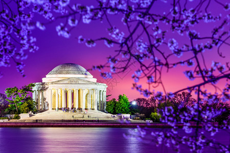 华盛顿杰斐逊纪念堂对岸的樱花树图片