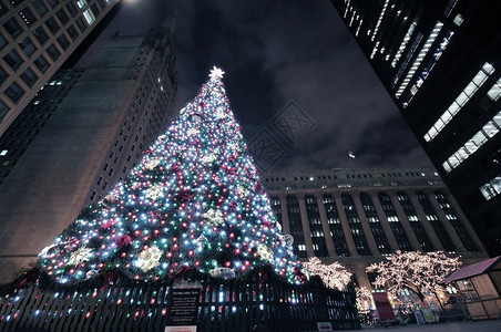 芝加哥市中心的圣诞树芝加哥之夜假期时间广角拍摄低ISO美国伊利图片