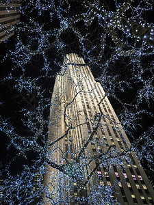 纽约塔和照明树灯图片