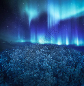 森林上方的北极光图片