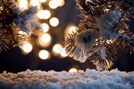 雪中紧的树枝夜间有圣图片