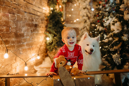 小男孩在圣诞树和装饰品的中图片