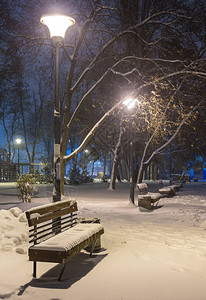冬季夜景冬季树木下的长凳和冬季飘落的雪花下闪亮的路灯空旷的夜公园里飘着雪背景图片