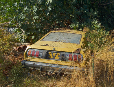 希腊城郊区的汽车残骸在无花果树和干图片