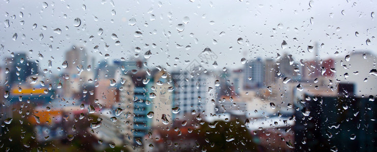 在一个暴风雨的日子里图片