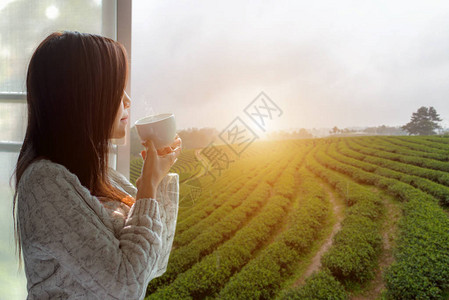 清晨亚洲妇女喝热茶图片