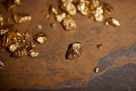 灰色和棕褐大理石表面的金宝图片