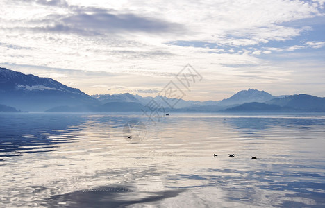 瑞士楚格湖图片