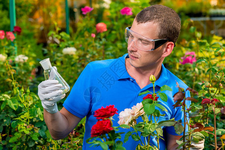 生物学家与生物学家在温室试验管中图片