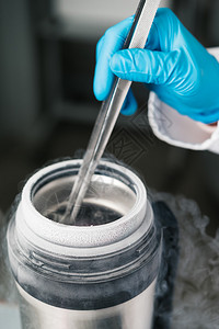 科学家将干细胞悬吊的容器用于低温保护生物医学诊断的细胞培养图片