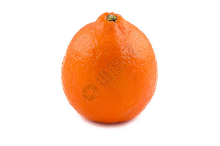白色背景的橙色熟背景图片