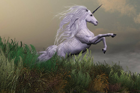 一匹白色的独角兽种马在山脉的山顶上以力量和威图片