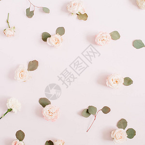 花框由蜜蜂玫瑰白面粉色背景上的叶树枝组成背景图片