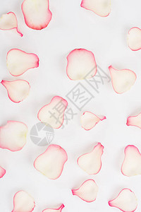 白色背景上的粉红玫瑰花瓣的背景图片