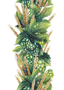 水彩啤酒花和麦芽手绘无缝边框背景图片