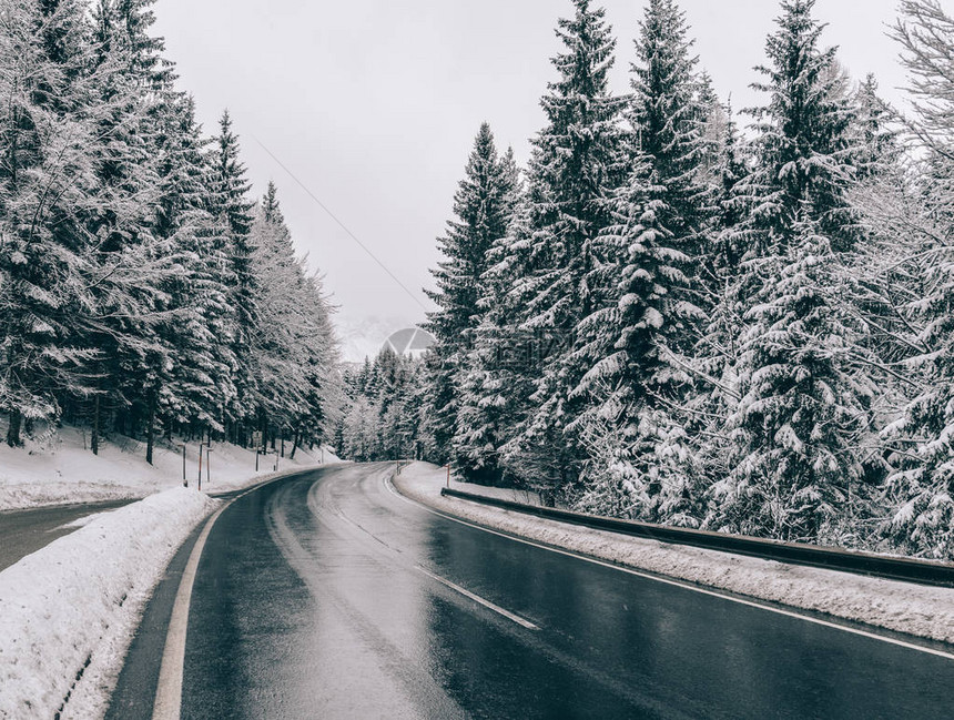 冬季道路森林中的道图片