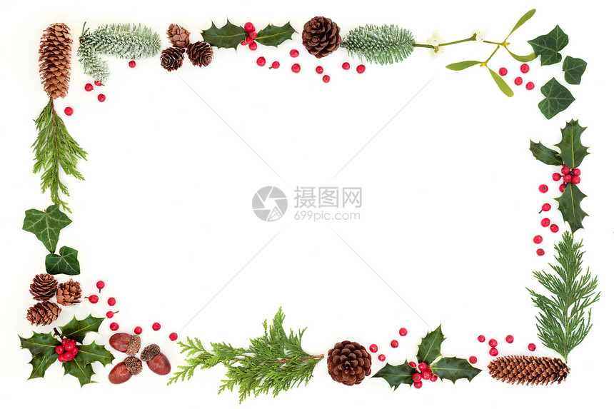 冬季和圣诞节的自然植物背景与胡利草莓松果叶丛橡树寄生虫松锥白雪覆盖图片