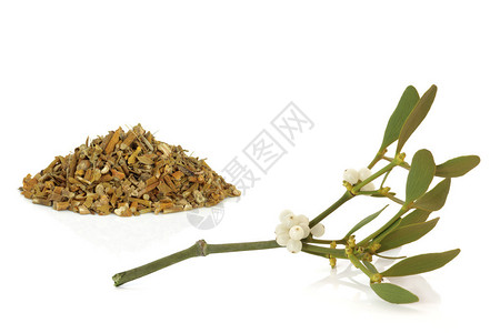草药替代药物和魔法药剂中使用的甲状腺干燥在堆积物叶子和白本上隔图片