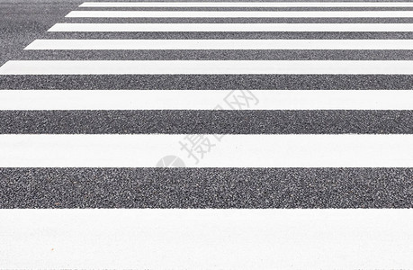 城市公路上的斑马交叉图片