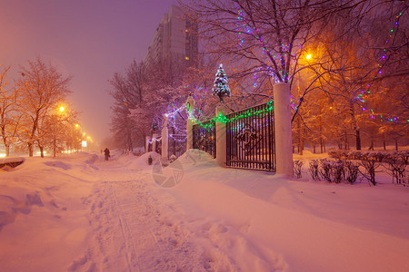 照明之夜冬季城市场景图片