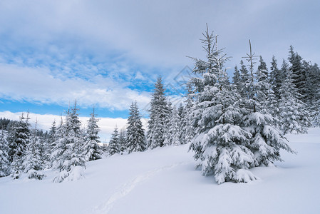 冬季风景与山林中的道路图片