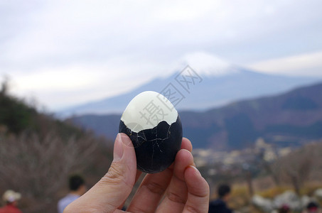 有藤山背景的黑锅蛋日本藤滨公园图片