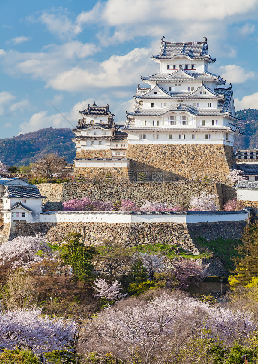 日本樱花季的白鹭城图片