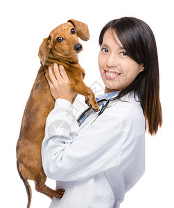 女兽医和腊肠狗图片