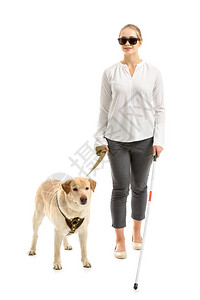 白色背景中带导盲犬的年轻盲女图片