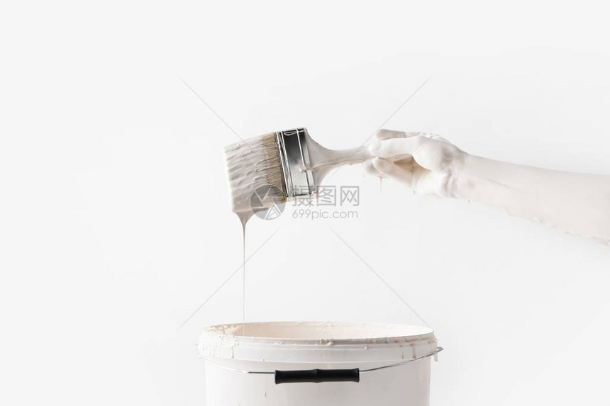 在白色隔离的桶上方用白色油漆刷的女人的裁剪图像图片