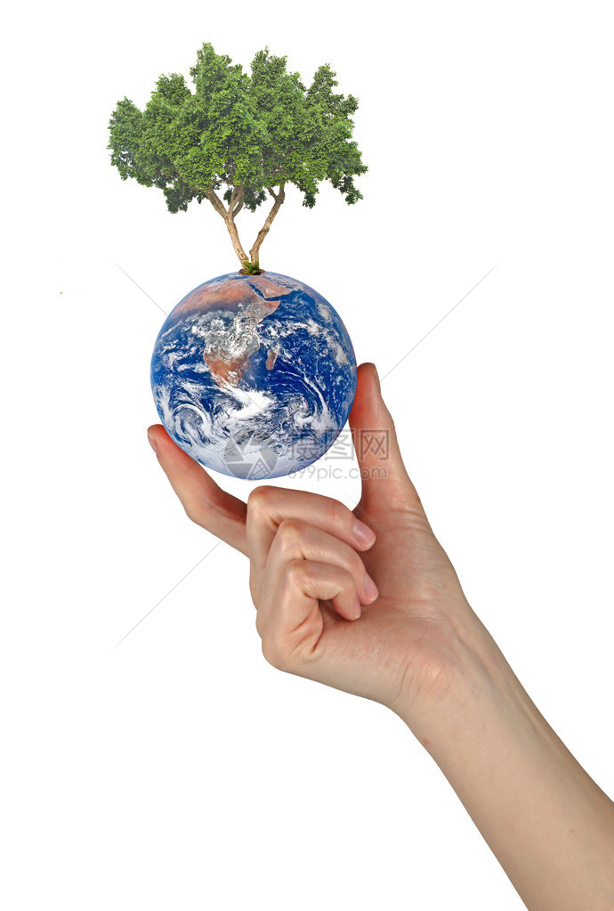 地球的树是和平的象征美国航天局提供的这图片