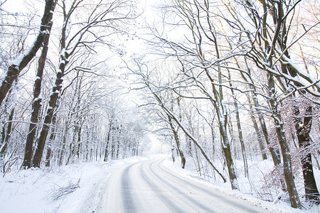 白雪皑皑的森林中的冬季道路图片