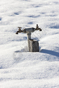 一个双头水龙头从雪中升起图片