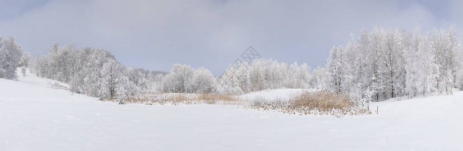 深冬的乡村景观图片