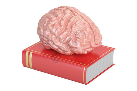 有大脑的书籍知识概念3D在白图片