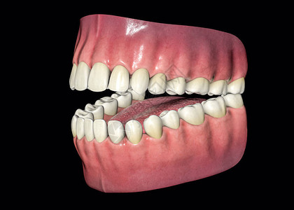 3D单独牙齒牙图片
