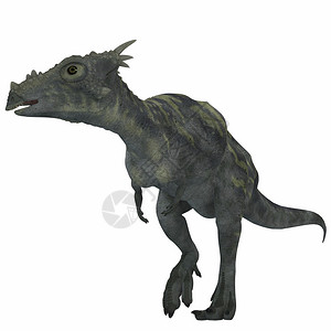 德拉科雷克斯是一种食草恐龙生活在北美洲图片