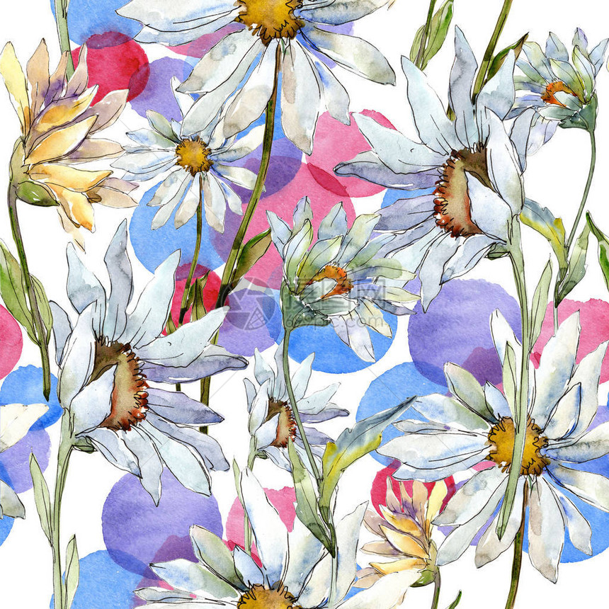 白色雏菊花卉植物花无缝背景图案织物壁纸打印纹理背景纹理包装图案框架或边框图片