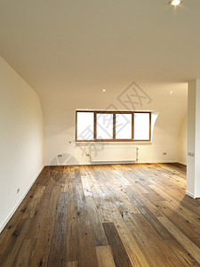 现代室内有木制地板图片