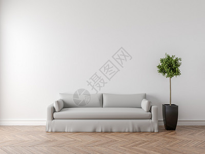 地板上的镶木地板室内植物和空房间里的沙发背景图片
