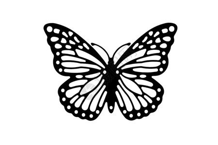 蝴蝶的图像作为一个孤立的剪影背景图片