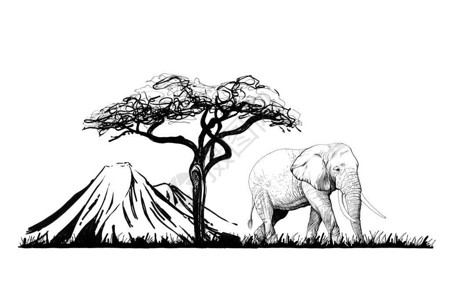 乞力马扎罗山挂起背景的树上大象附近手画插图手画图集原创插画