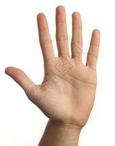 手形符号表示白色背景上的五个图片