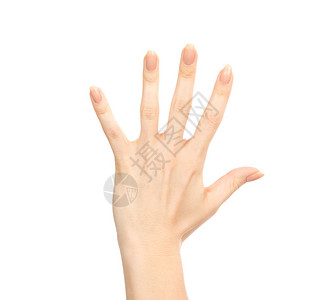 五指被隔离在白色背景上女手势修图片