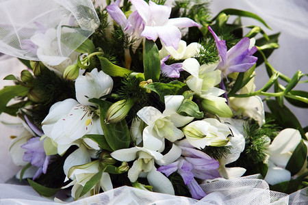 在面纱的背景的婚礼花束图片