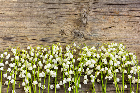 木板上的白花铃兰图片