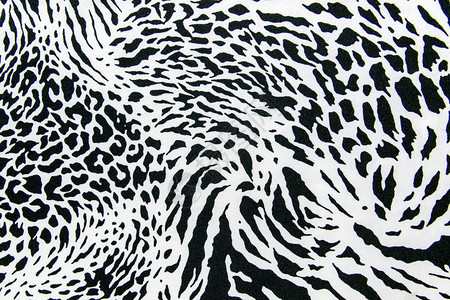 背景的印花织物条纹斑马和豹纹的质地图片
