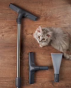 宠物入住后清洁的吸尘器工具图片