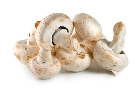 在白色背景上孤立的香菇图片