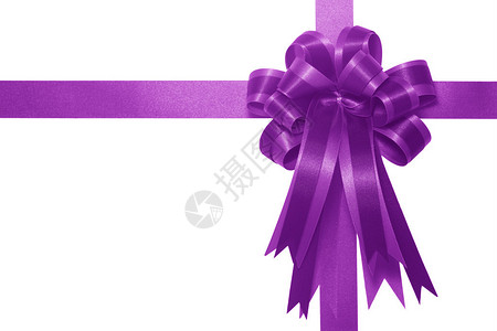 紫缎礼品蝴蝶结图片